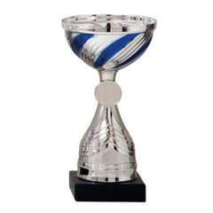 Collection image for: Bekers & Trofeeën