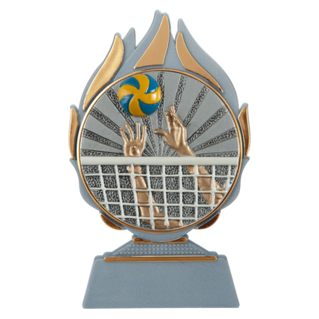 Volleybal Sporttrofee – Gouden Volleybal Prijs